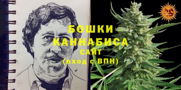 прущие грибы Арсеньев